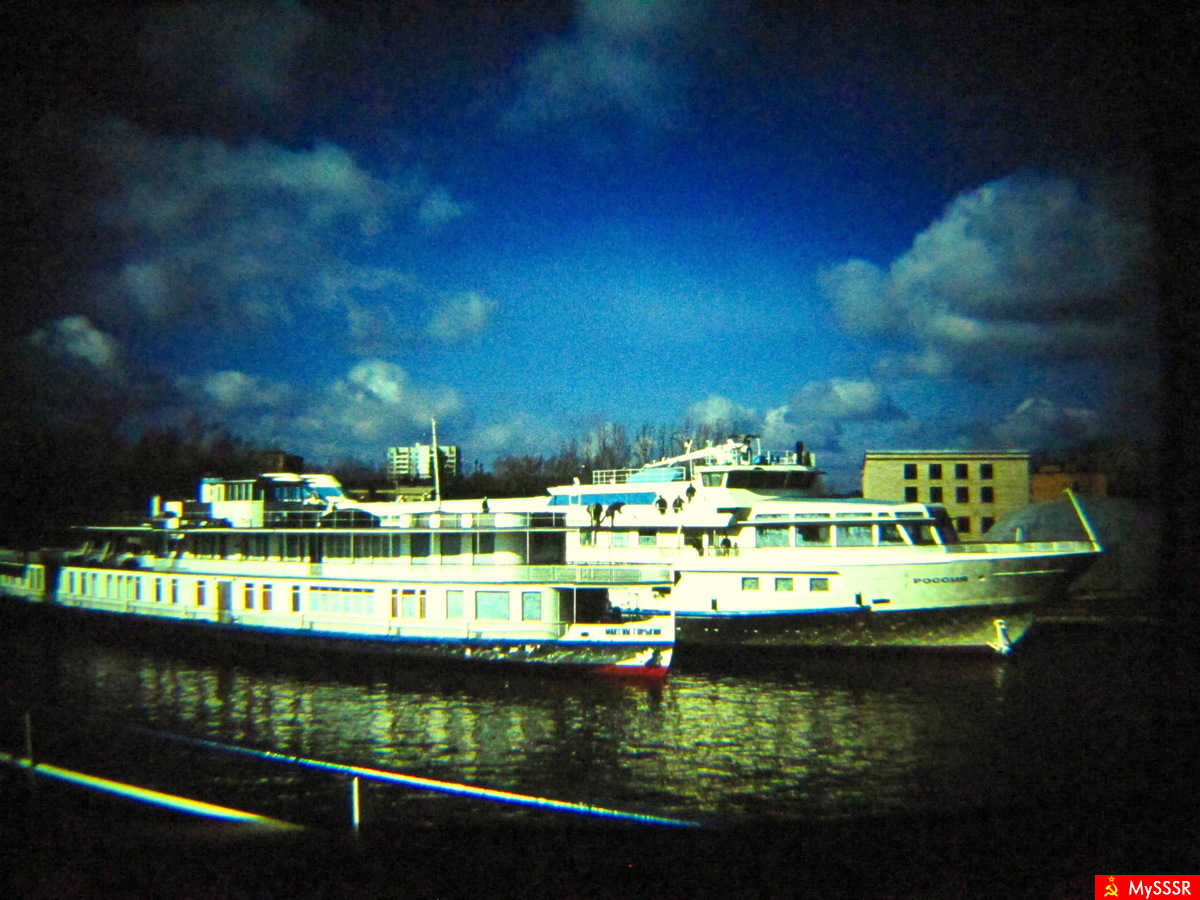   1987 .